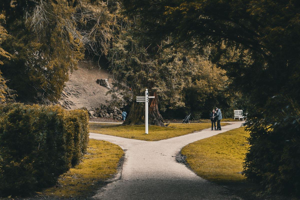 A forked path with a signpost winding through a green park, inviting a choice of direction.